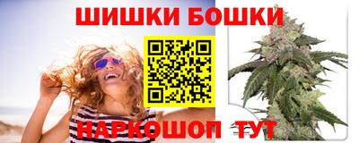 2c-b Камышлов