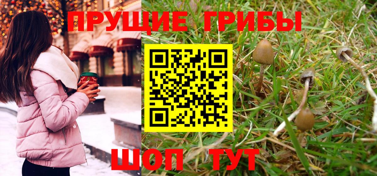 Кострома  Псилоцибиновые грибы Magic Shrooms  Вход с VPN  закладка  Галлюциногенные грибы ЛСД 