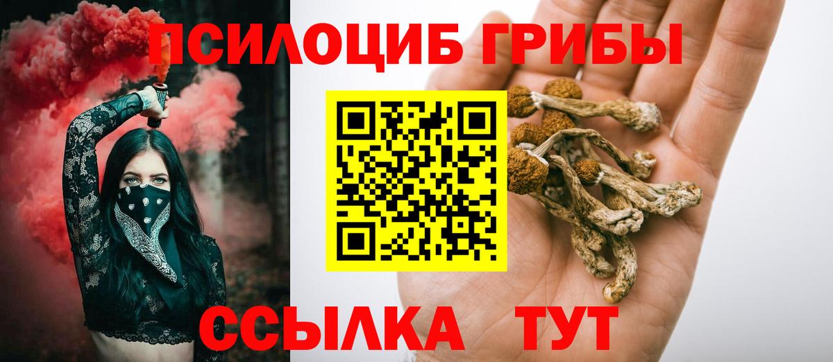 Псилоцибиновые грибы Psilocybine cubensis Кострома
